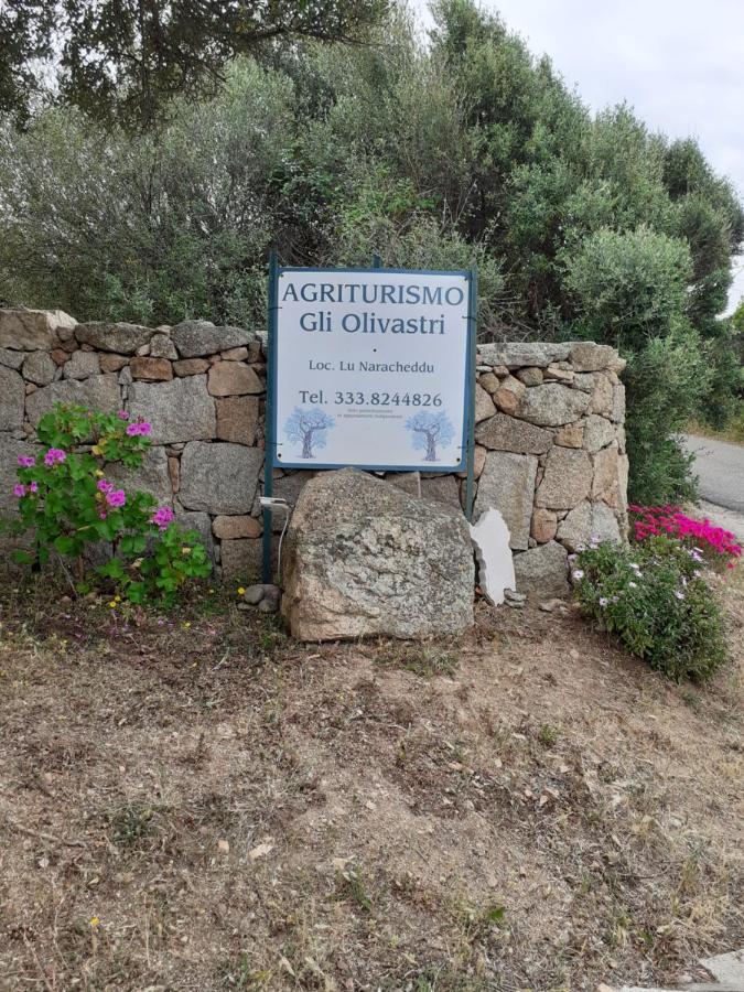 Gli Olivastri Con Piscina,Solarium, Vista Mare ,Sole -Mare E Tanta Natura ,Climatizzatore,Wifi Aglientu Extérieur photo
