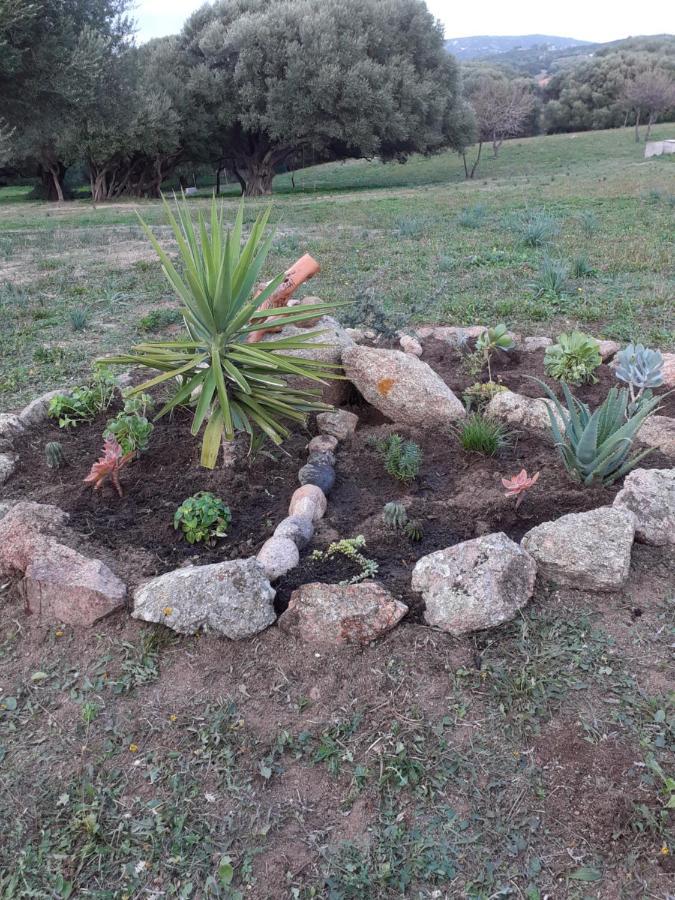 Gli Olivastri Con Piscina,Solarium, Vista Mare ,Sole -Mare E Tanta Natura ,Climatizzatore,Wifi Aglientu Extérieur photo