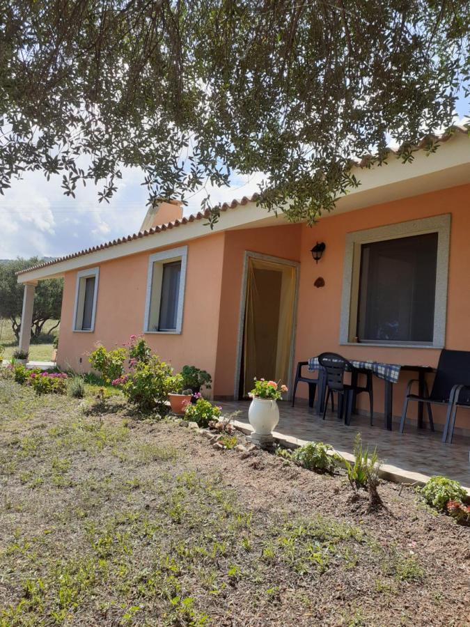 Gli Olivastri Con Piscina,Solarium, Vista Mare ,Sole -Mare E Tanta Natura ,Climatizzatore,Wifi Aglientu Extérieur photo