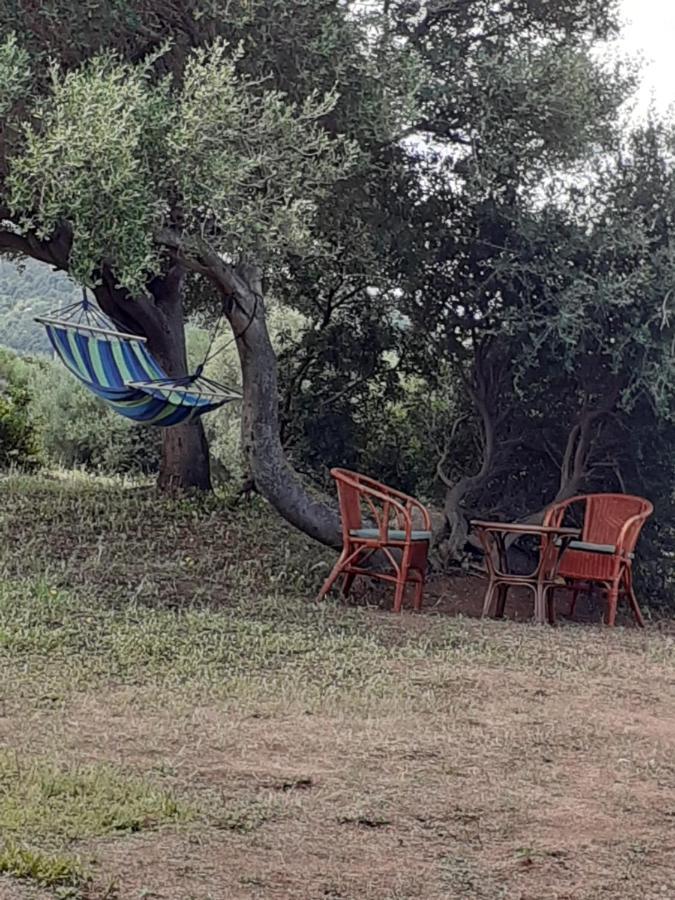 Gli Olivastri Con Piscina,Solarium, Vista Mare ,Sole -Mare E Tanta Natura ,Climatizzatore,Wifi Aglientu Extérieur photo