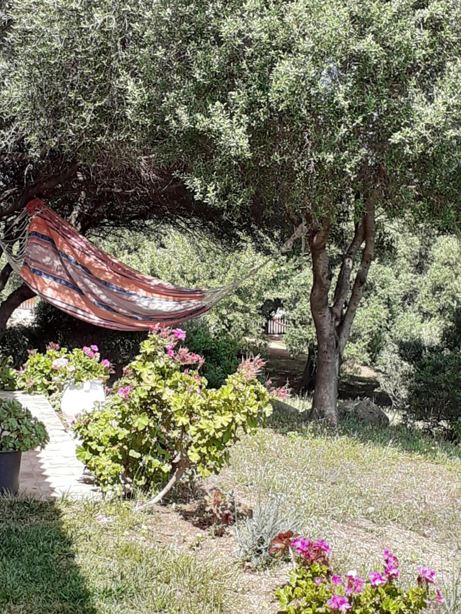Gli Olivastri Con Piscina,Solarium, Vista Mare ,Sole -Mare E Tanta Natura ,Climatizzatore,Wifi Aglientu Extérieur photo