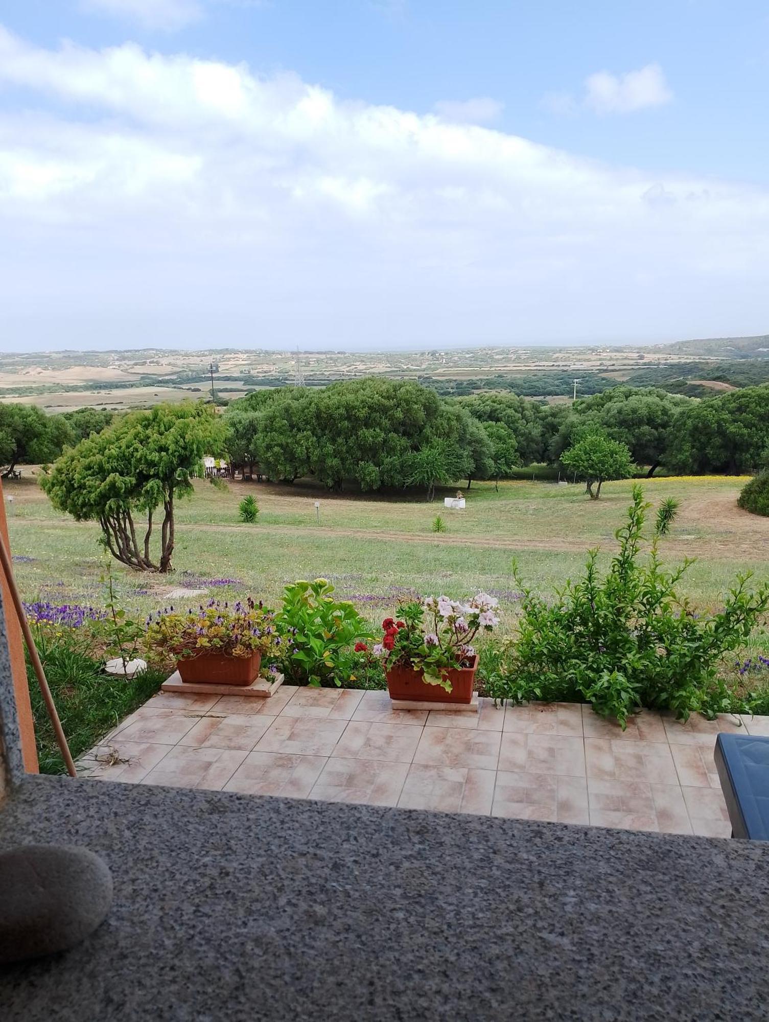 Gli Olivastri Con Piscina,Solarium, Vista Mare ,Sole -Mare E Tanta Natura ,Climatizzatore,Wifi Aglientu Extérieur photo