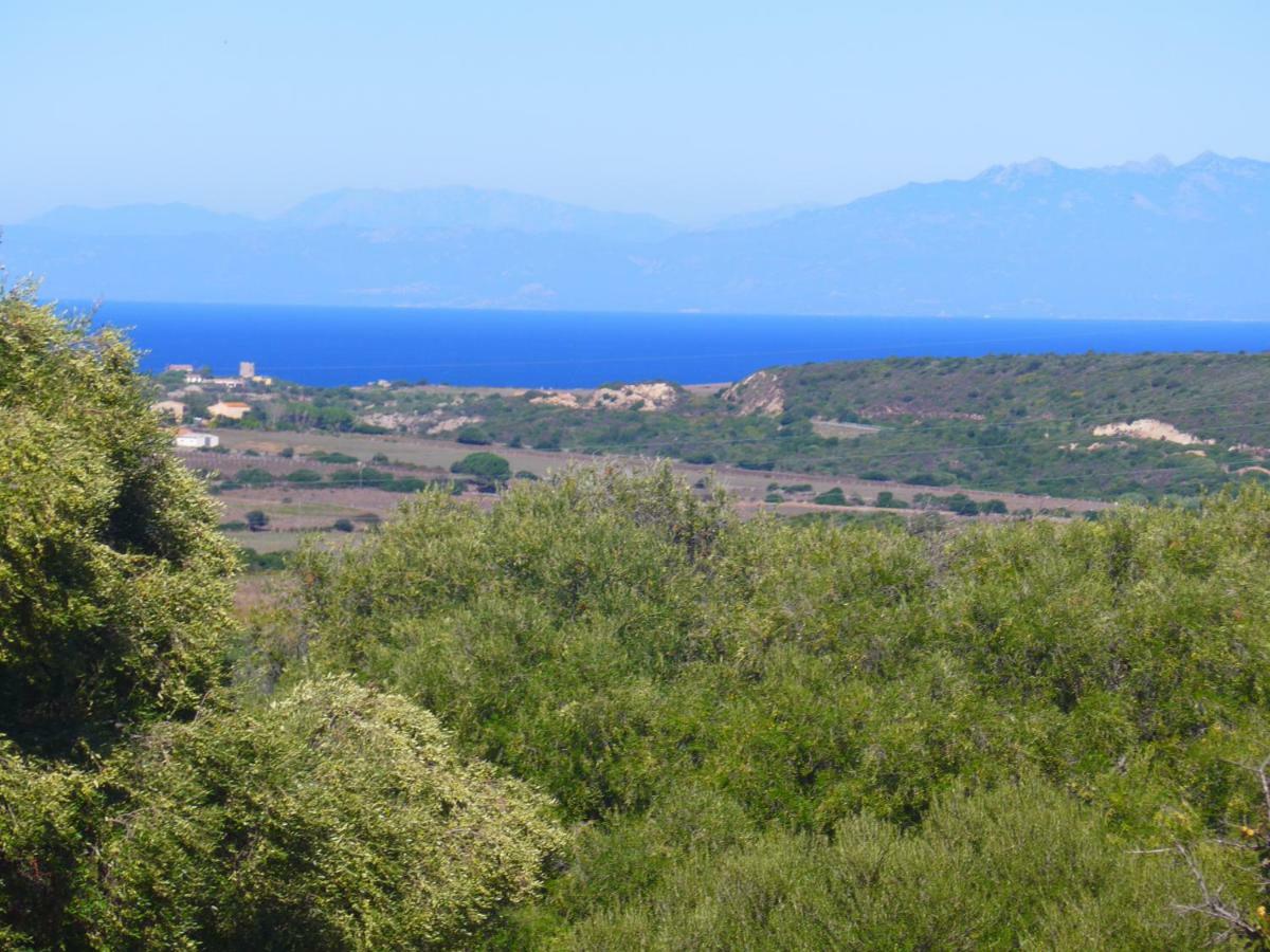 Gli Olivastri Con Piscina,Solarium, Vista Mare ,Sole -Mare E Tanta Natura ,Climatizzatore,Wifi Aglientu Extérieur photo