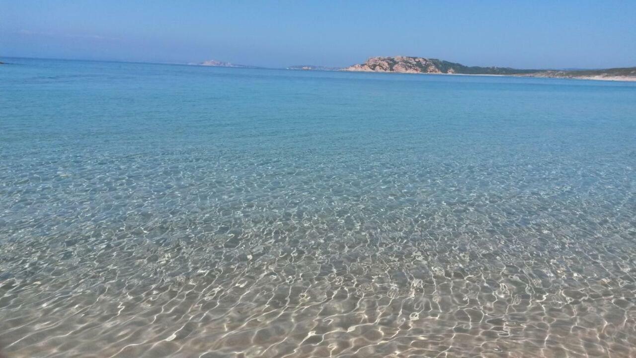 Gli Olivastri Con Piscina,Solarium, Vista Mare ,Sole -Mare E Tanta Natura ,Climatizzatore,Wifi Aglientu Extérieur photo