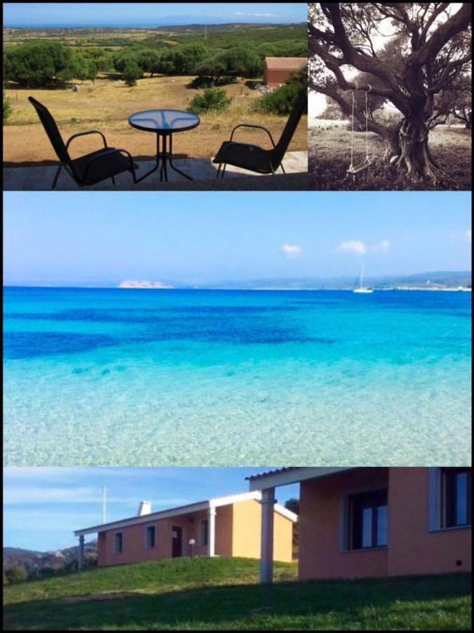 Gli Olivastri Con Piscina,Solarium, Vista Mare ,Sole -Mare E Tanta Natura ,Climatizzatore,Wifi Aglientu Extérieur photo