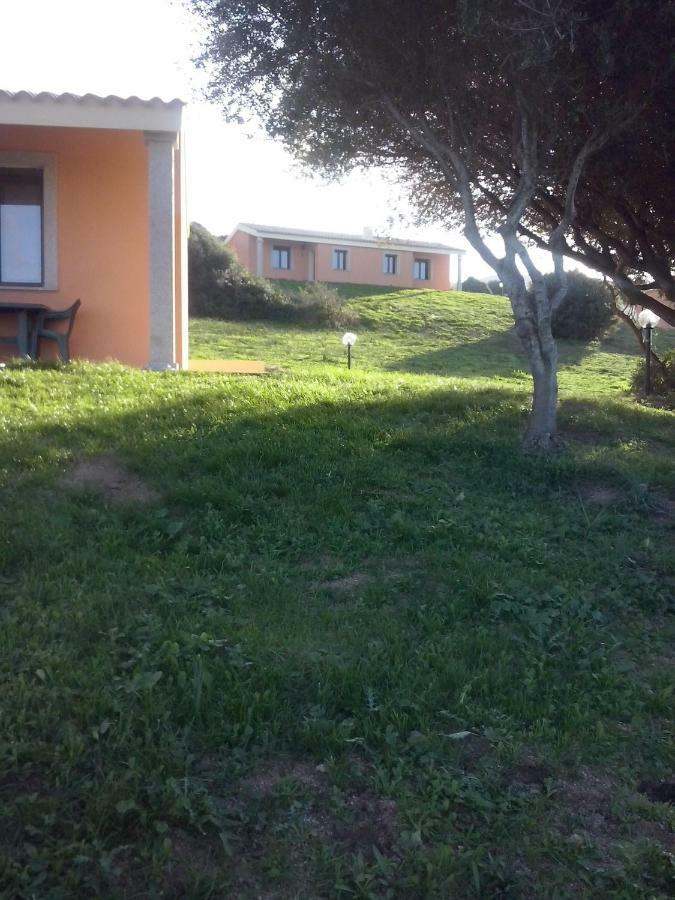 Gli Olivastri Con Piscina,Solarium, Vista Mare ,Sole -Mare E Tanta Natura ,Climatizzatore,Wifi Aglientu Extérieur photo