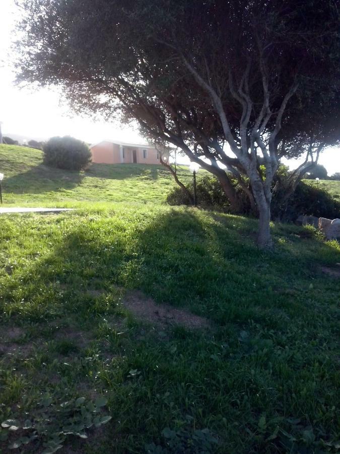Gli Olivastri Con Piscina,Solarium, Vista Mare ,Sole -Mare E Tanta Natura ,Climatizzatore,Wifi Aglientu Extérieur photo